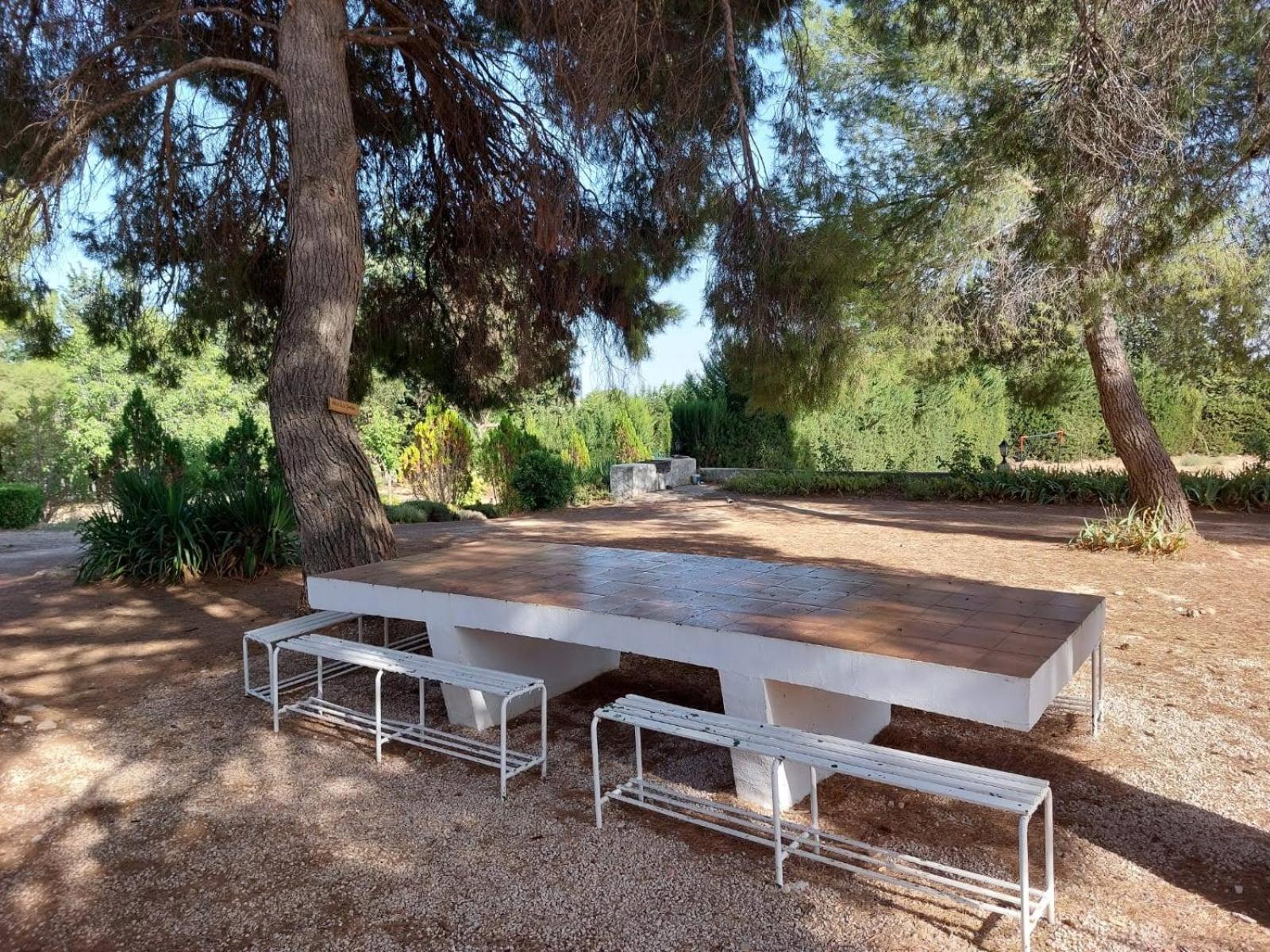 Casa Rural "La Villa Del Pistacho" Archivel Kültér fotó